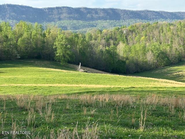 811 Pioneer Road Rose Hill, VA 24281 - Photo 22 of 58 IMG_1839