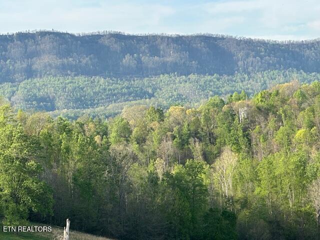 811 Pioneer Road Rose Hill, VA 24281 - Photo 25 of 58 IMG_1848