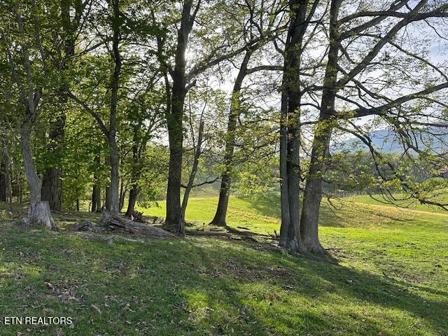 811 Pioneer Road Rose Hill, VA 24281 - Photo 26 of 58 IMG_1849