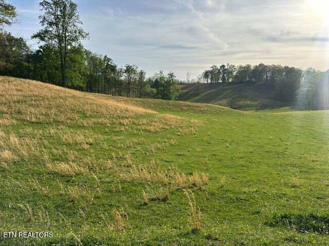 811 Pioneer Road Rose Hill, VA 24281 - Photo 27 of 58 IMG_1852