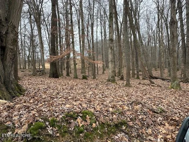 $799,900 | 811 Pioneer Road, Rose Hill, VA 24281