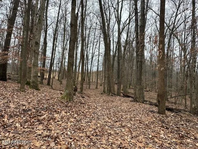 $799,900 | 811 Pioneer Road, Rose Hill, VA 24281