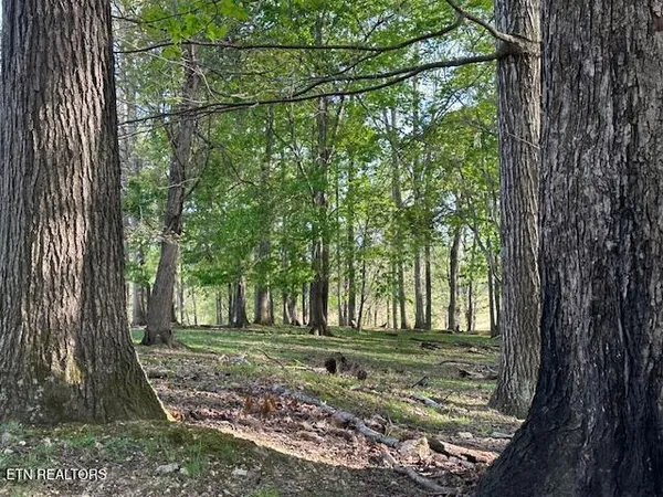 $675,000 | 811 Pioneer Road, Rose Hill, VA 24281