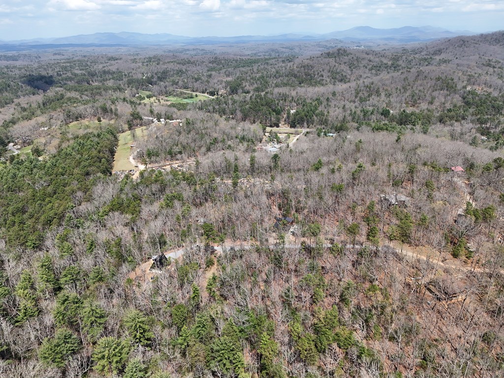 Lot 117 Laurel Trace Blue Ridge, GA 30513 - Photo 14 of 20 Gallery Image 14