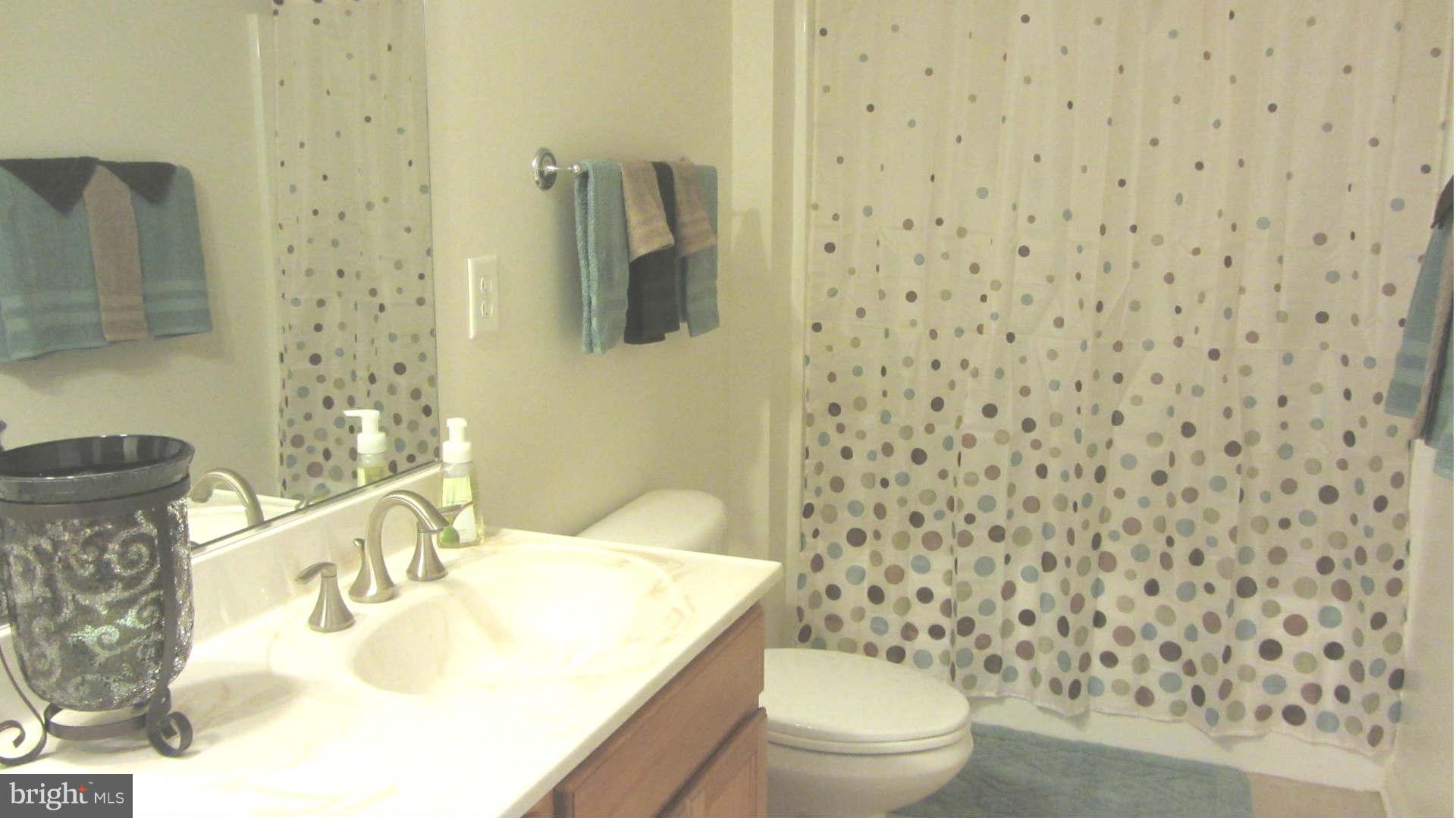 31647 Indiantown Road Locust Grove, VA 22508 - Photo 12 of 14 Bath
