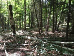 0 Huron Line Road East Minden City, MI 48456 - Photo 25 of 63 5030052560_90.jpg