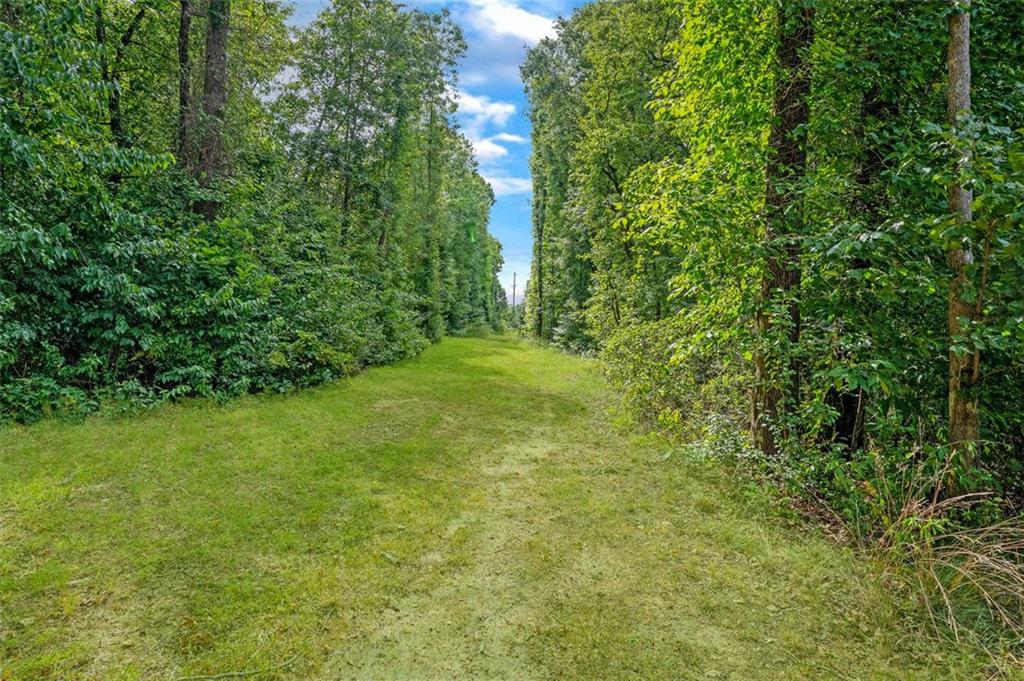 5364 Post Road Cumming, GA 30040 - Photo 6 of 12 a view of a yard with plants