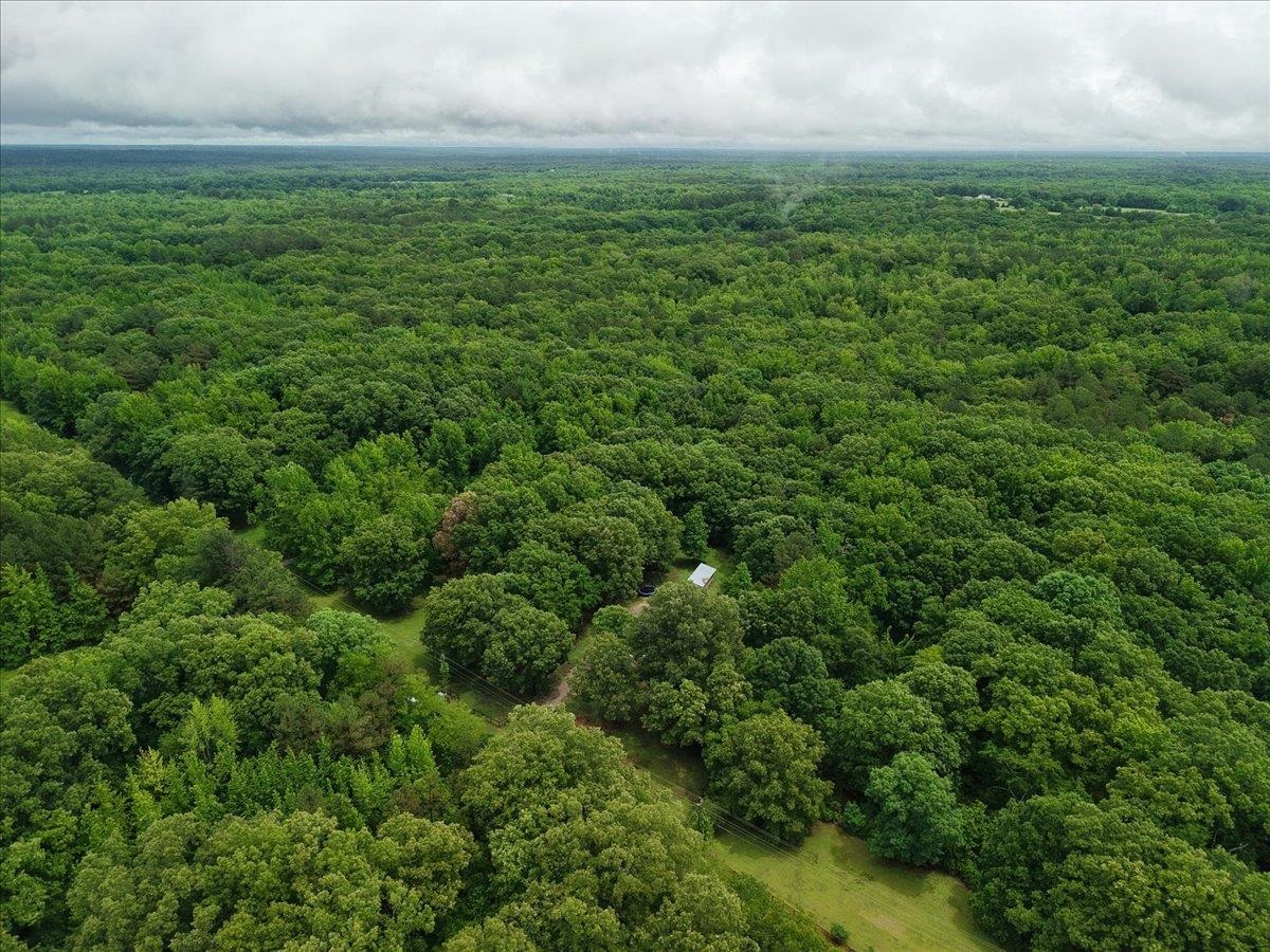 150 Liberty Road Moscow, TN 38057 - Photo 31 of 36 Expansive wooded parcel featuring mature trees, a natural clearing, and a small outbuilding