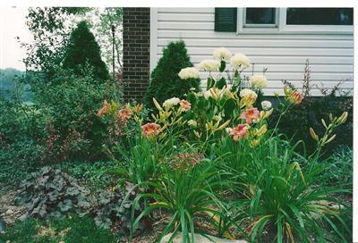 50850 Fulton Road Leonidas, MI 49066 - Photo 7 of 22 Additional Photo