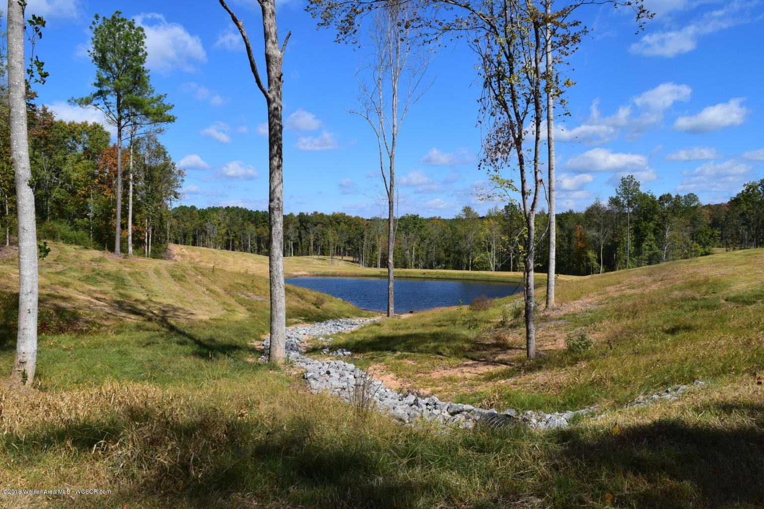 Gray Road Jasper, AL 35504 - Photo 6 of 7 Pond
