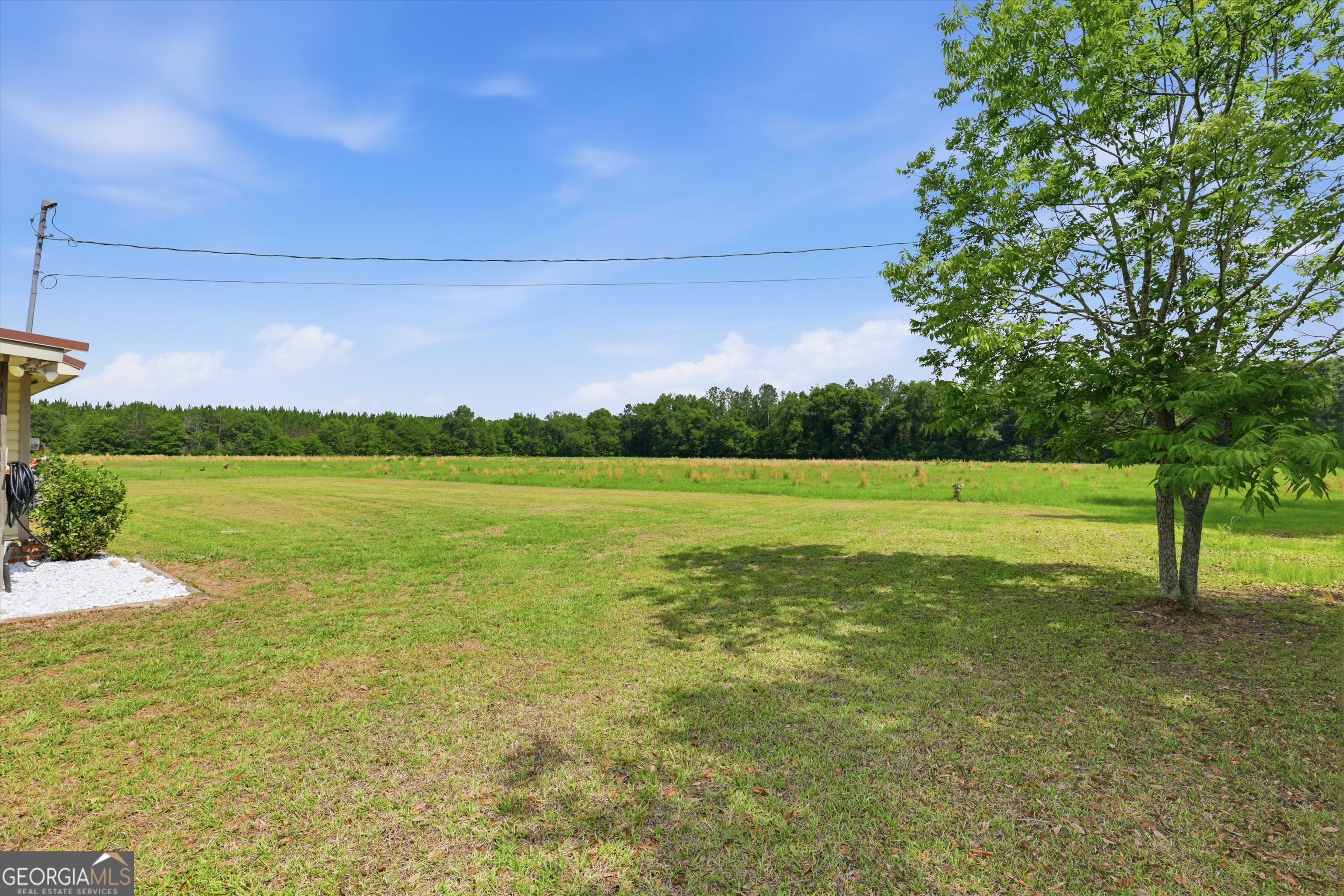 1525 Myron Hart Road Coolidge, GA 31738 - Photo 42 of 58 a view of a green yard
