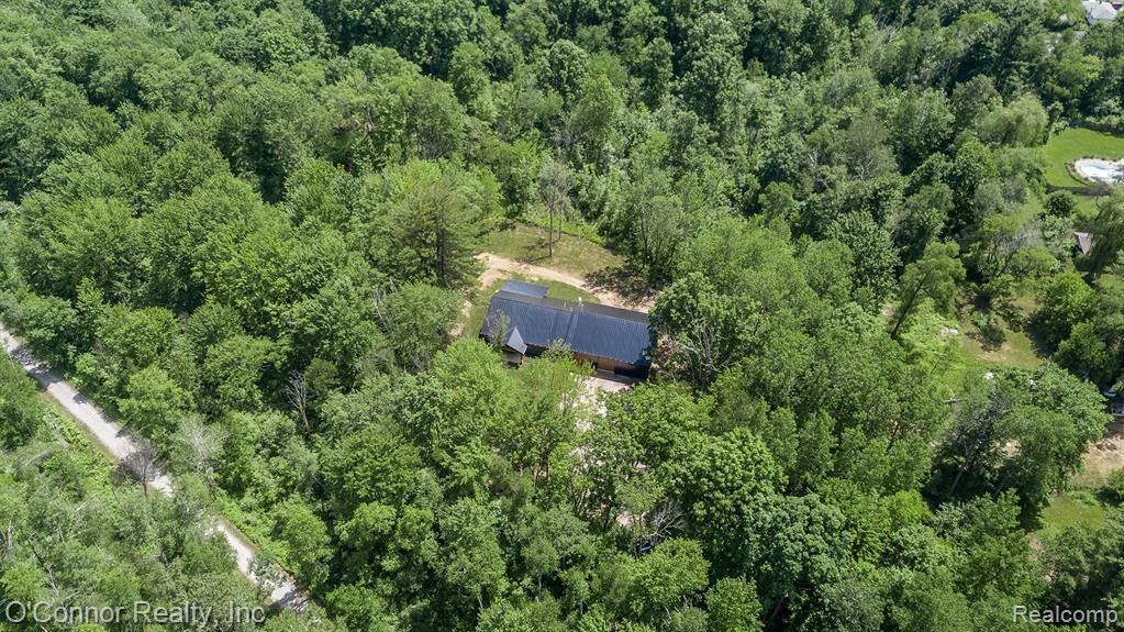 3650 Rabidue Road North Street, MI 48049 - Photo 48 of 53