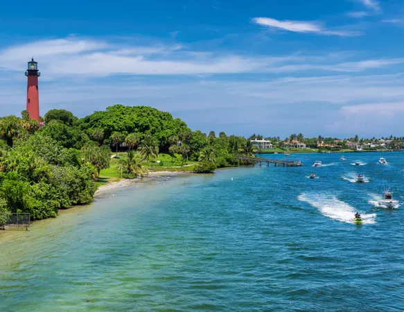 a view of a beach with wooden floor
