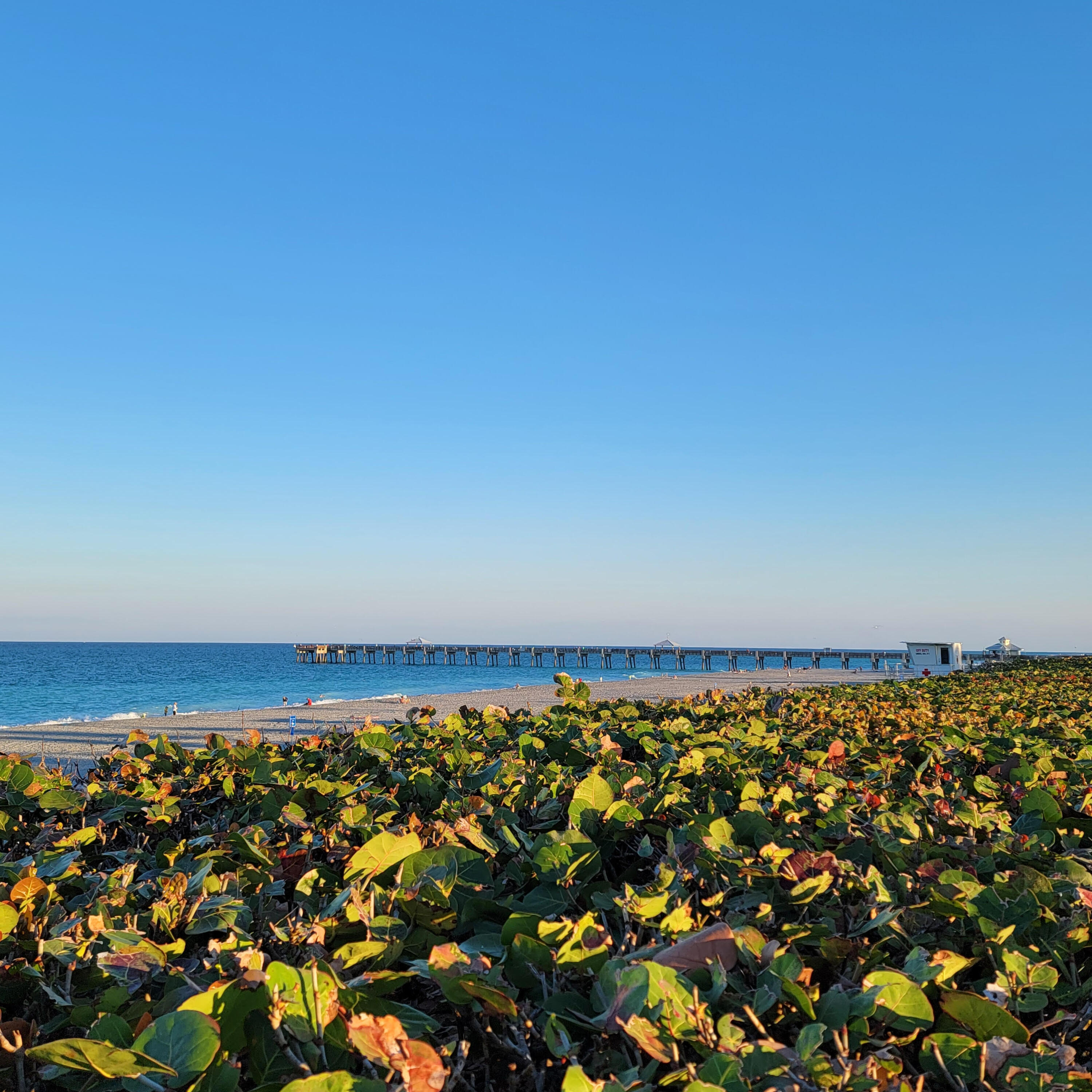 825 Center Street, Unit 14A Jupiter, FL 33458 - Photo 53 of 57 a view of an ocean