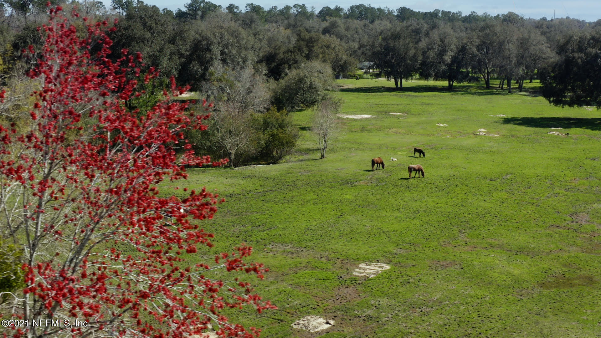 680 Cherry Grove Road Orange Park, FL 32073 - Photo 40 of 41 unnamed
