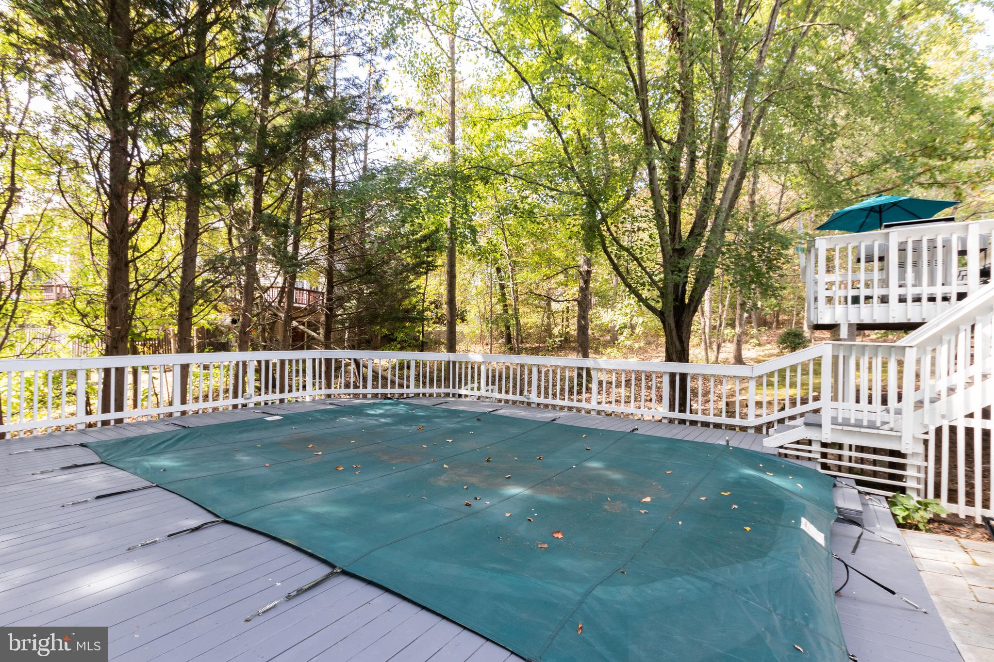 7210 Joshua Tree Lane Springfield, VA 22152 - Photo 40 of 53