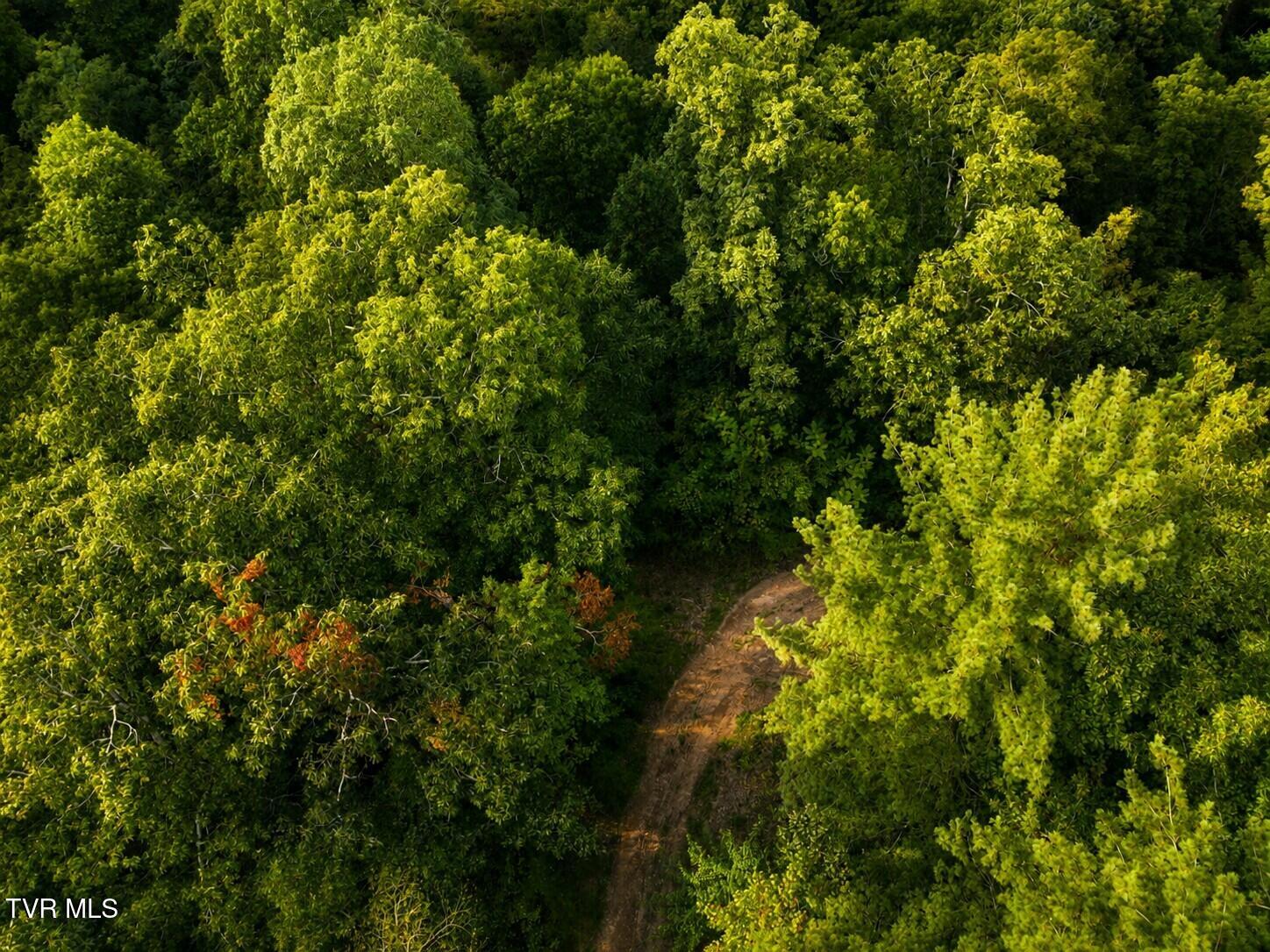 Tbd Mosier Road Johnson City, TN 37601 - Photo 25 of 32 pic 25.1