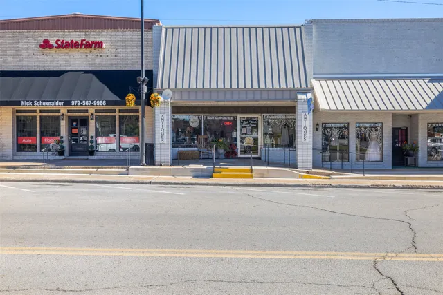 an aerial view of a yard with horses