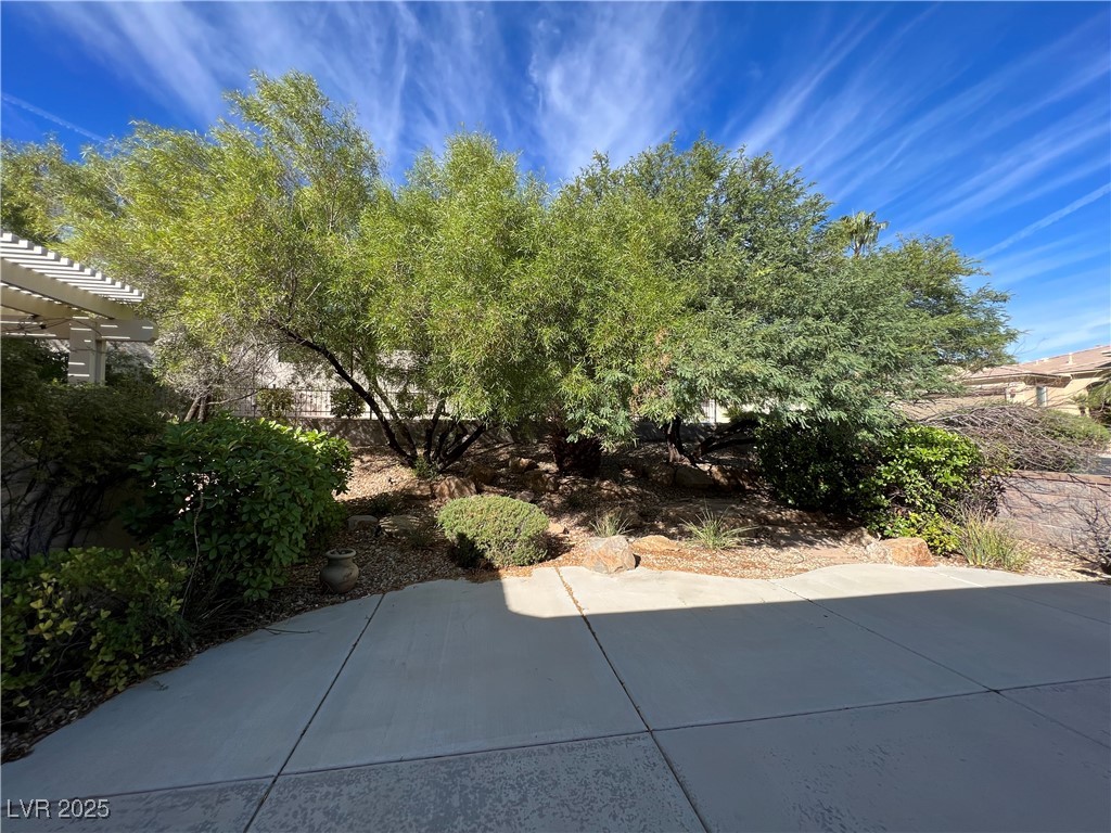 5445 Progresso Street Las Vegas, NV 89135 - Photo 25 of 34