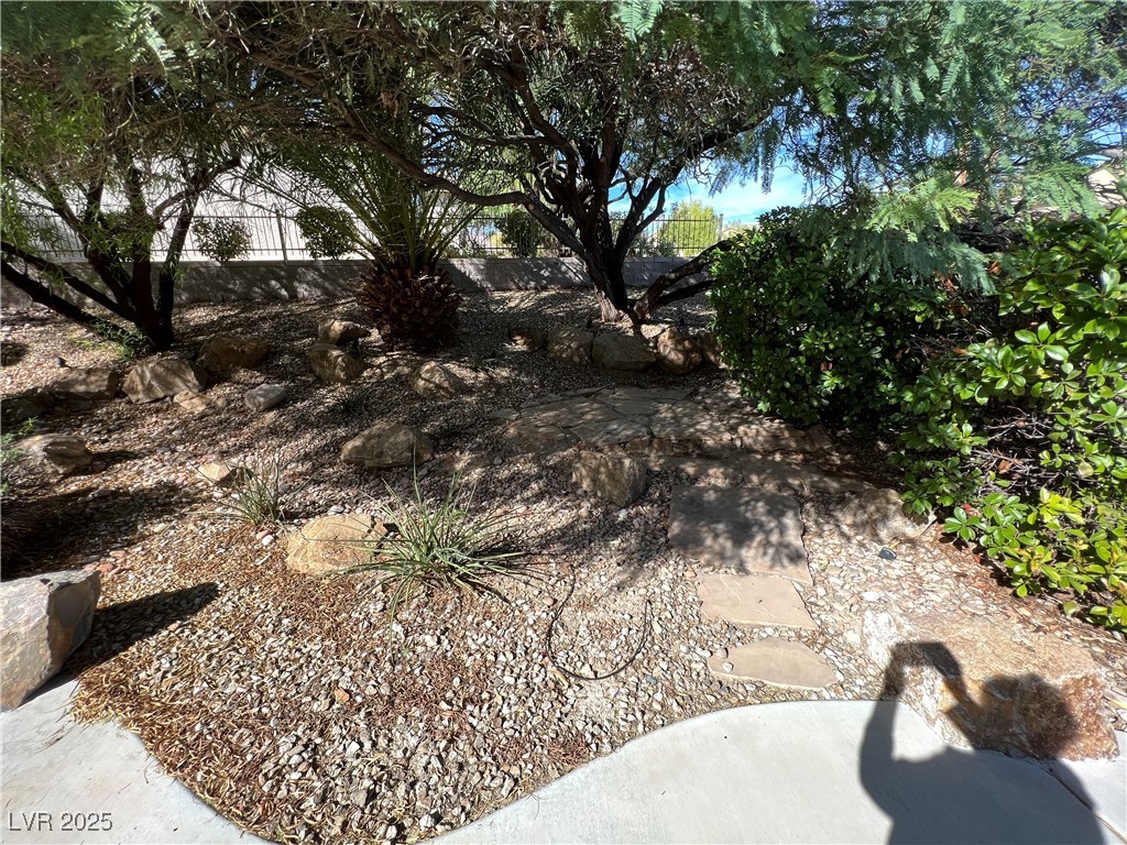 5445 Progresso Street Las Vegas, NV 89135 - Photo 29 of 34