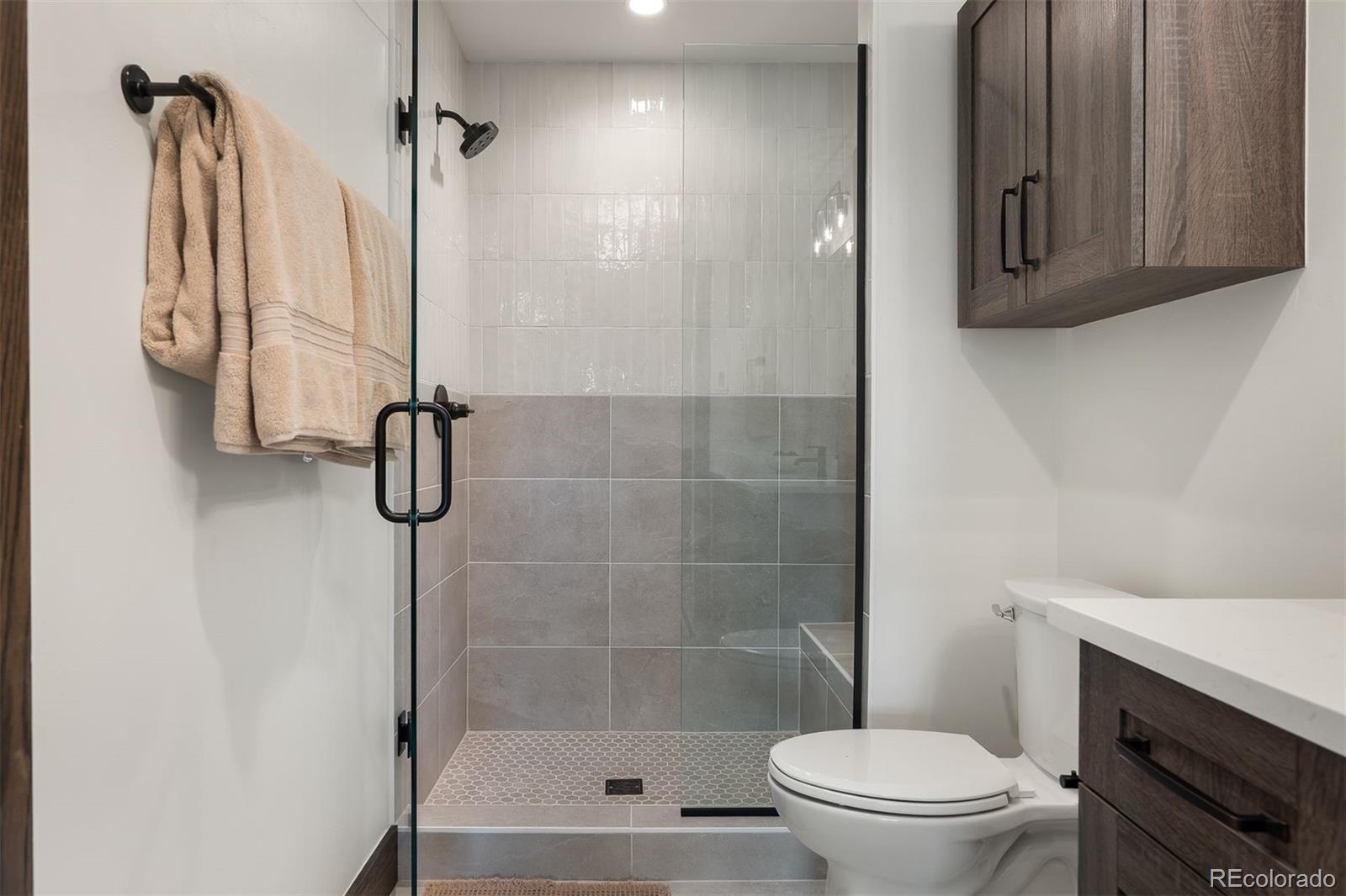 340 Sterling Loop, Unit 1 Fraser, CO 80442 - Photo 18 of 28 a bathroom with a shower a toilet and a sink
