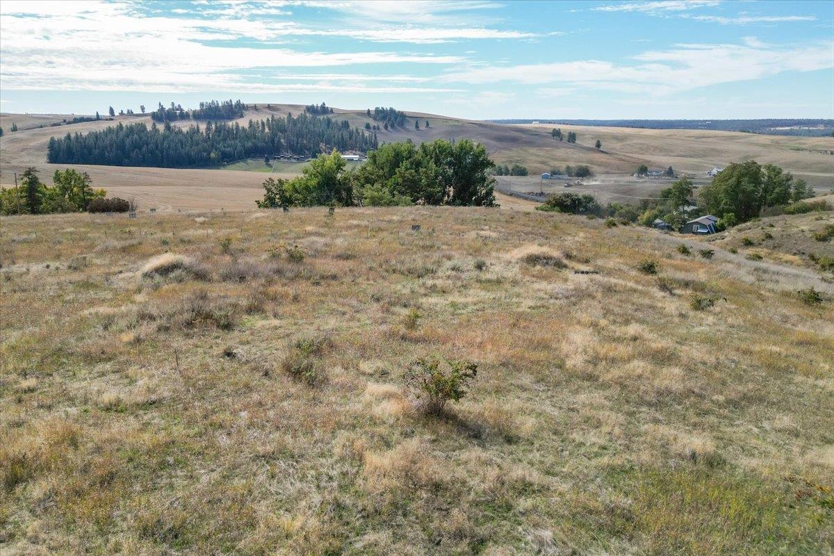 10990 South Fruit Street Spokane, WA 99223 - Photo 16 of 24