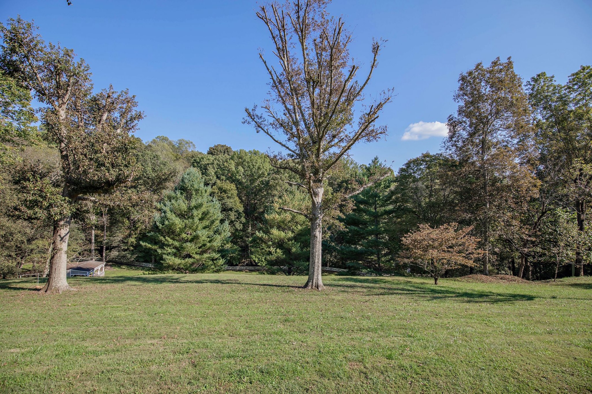2253 Luster Road Goodlettsville, TN 37072 - Photo 43 of 49 Gallery Image 43