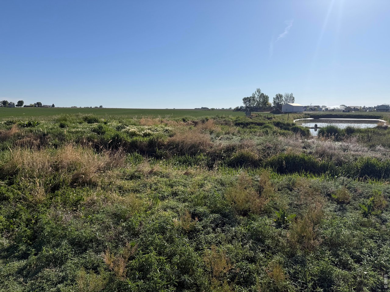 70 County Road Eaton, CO 80615 - Photo 3 of 17