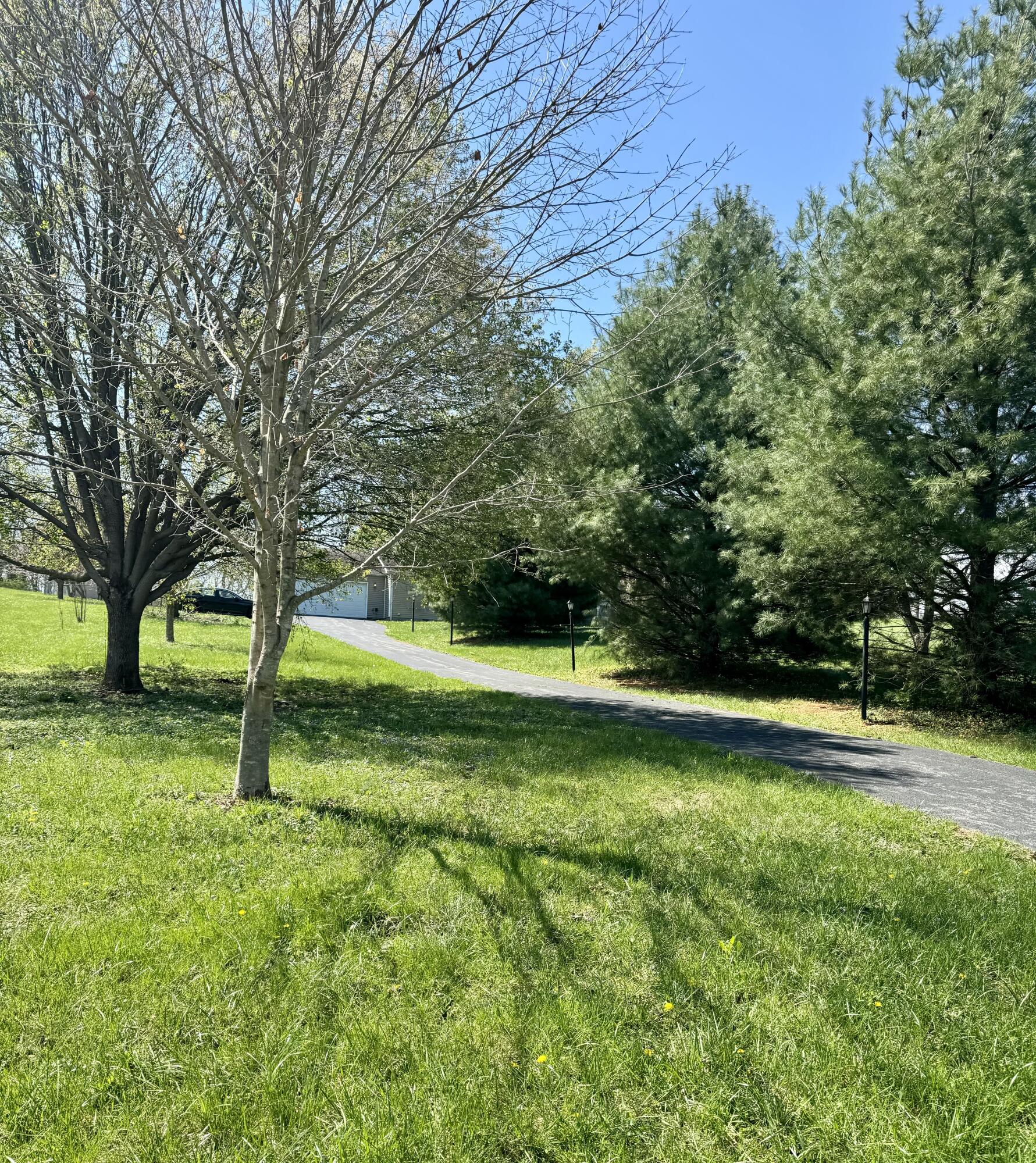 107 Tanyard Branch Road Lancaster, KY 40444 - Photo 14 of 69 IMG_3792