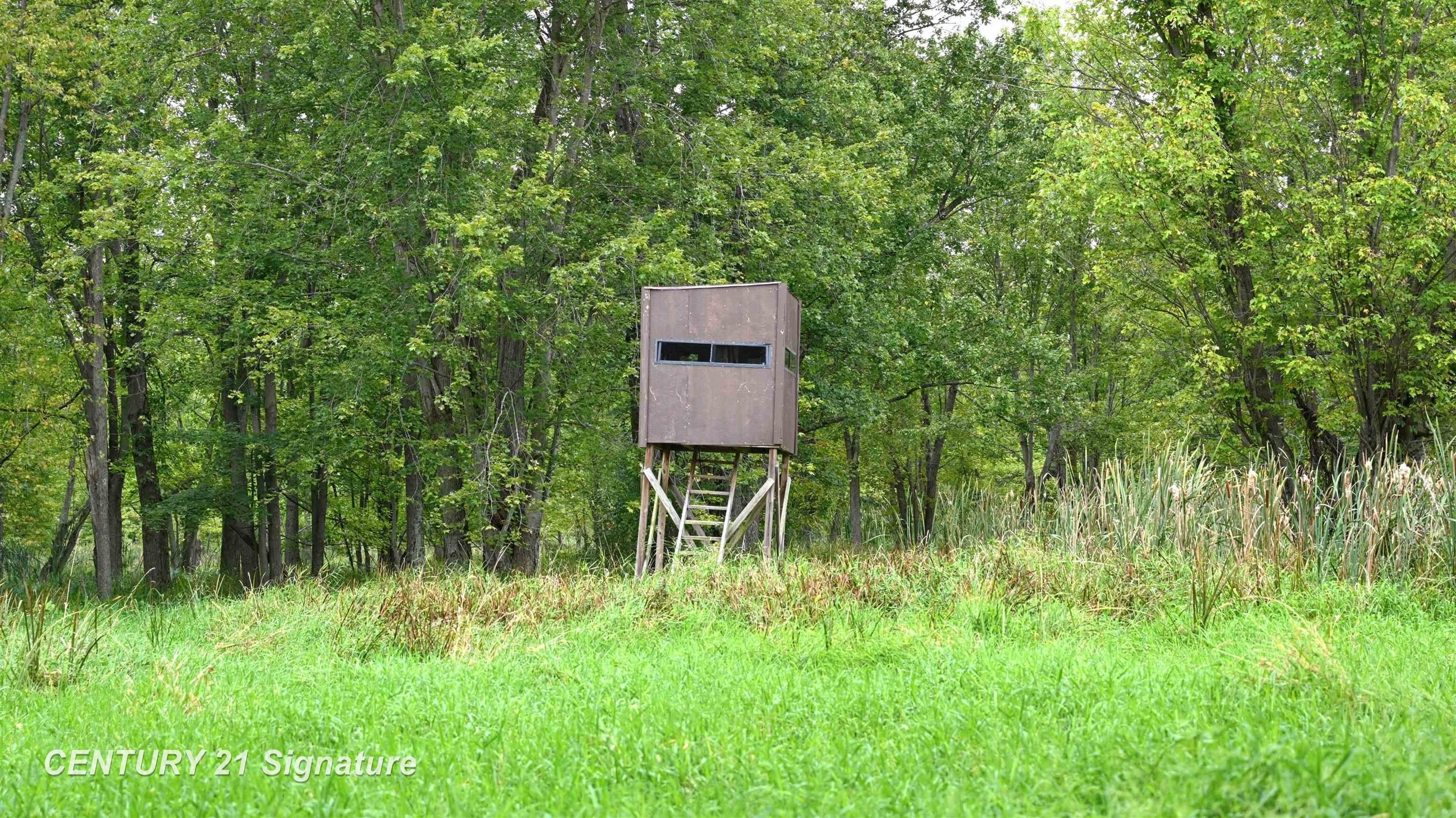0 Tyrrell Road Owosso, MI 48867 - Photo 13 of 41 Gallery Image 13