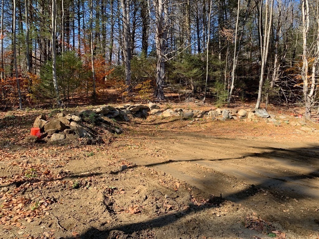 650 Little Mohawk Road Shelburne Falls, MA 01370 - Photo 4 of 12 Gallery Image 4