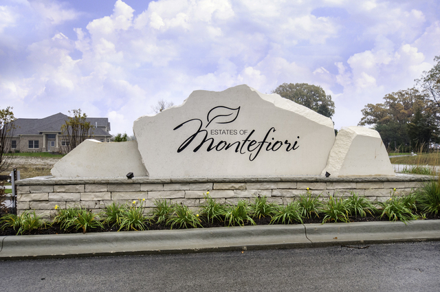 11166 Tuscany Lane Lemont, IL 60439 - Photo 44 of 45