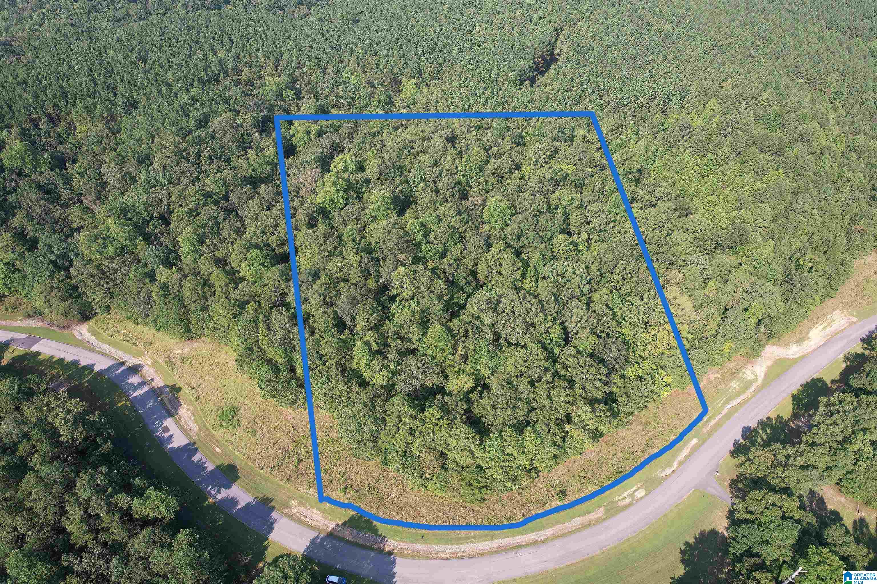 221 Stoney Point Road South, Unit 221/122 Double Springs, AL 35553 - Photo 5 of 25