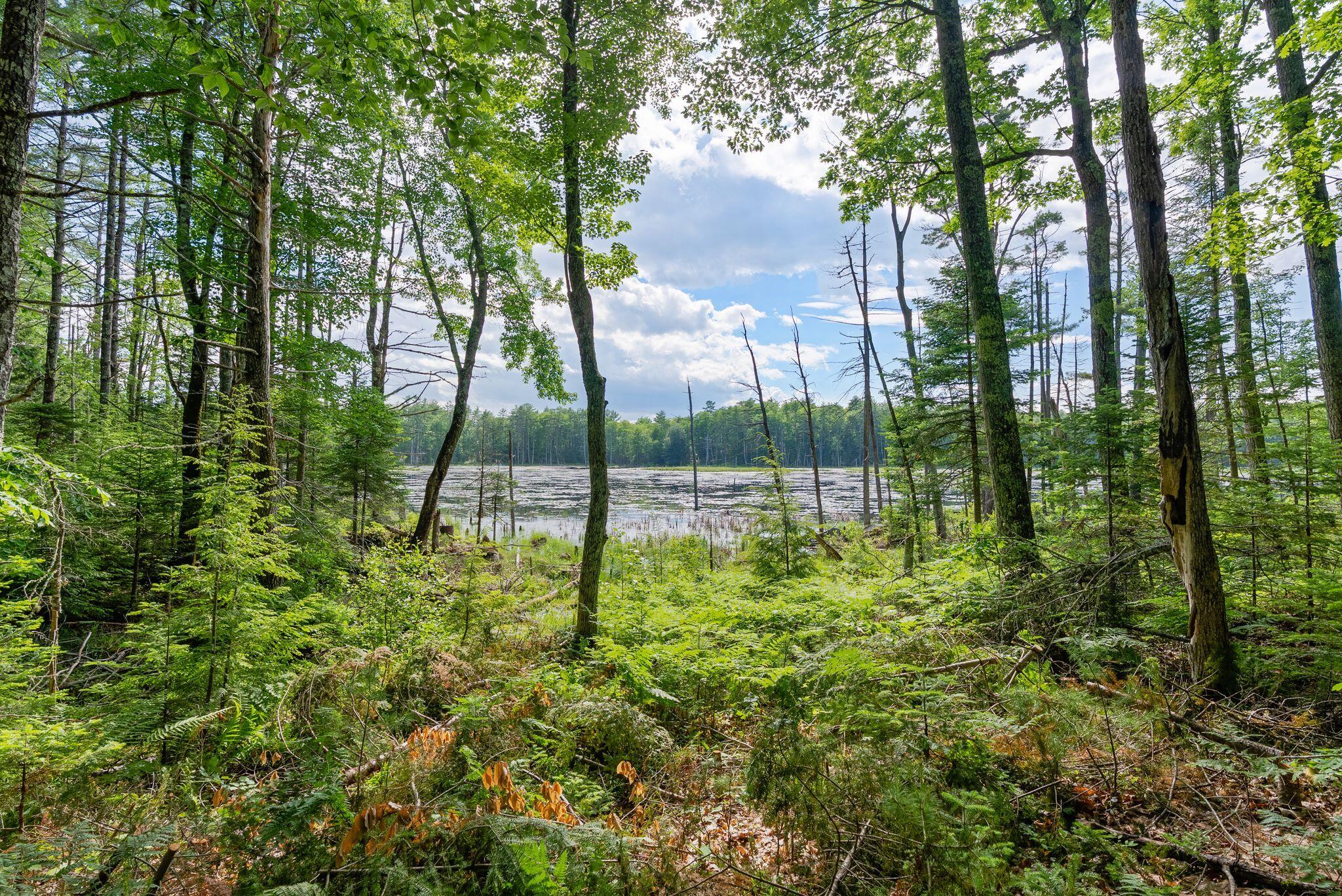 79 Lukes Road Casco, ME 04015 - Photo 51 of 55 19_DSC08621 copy