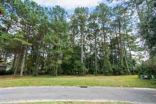 $22,000 | 113 Legacy Woods Drive, Wallace, NC 28466