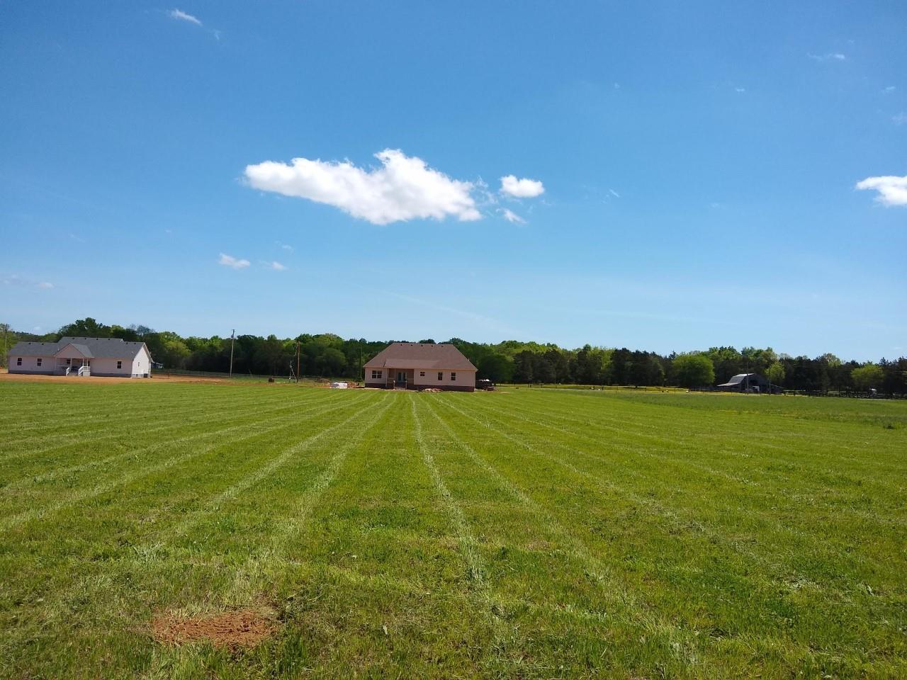 4926 Thick Road Chapel Hill, TN 37034 - Photo 6 of 17 view from back of roperty