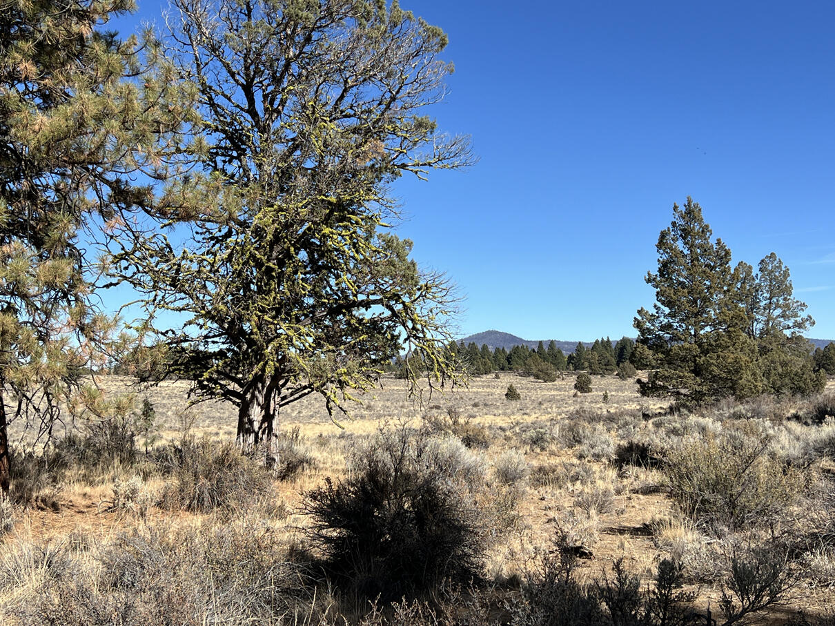 Oregon Pines Road, Unit TL 600 Sprague River, OR 97639 - Photo 20 of 52 IMG_4297