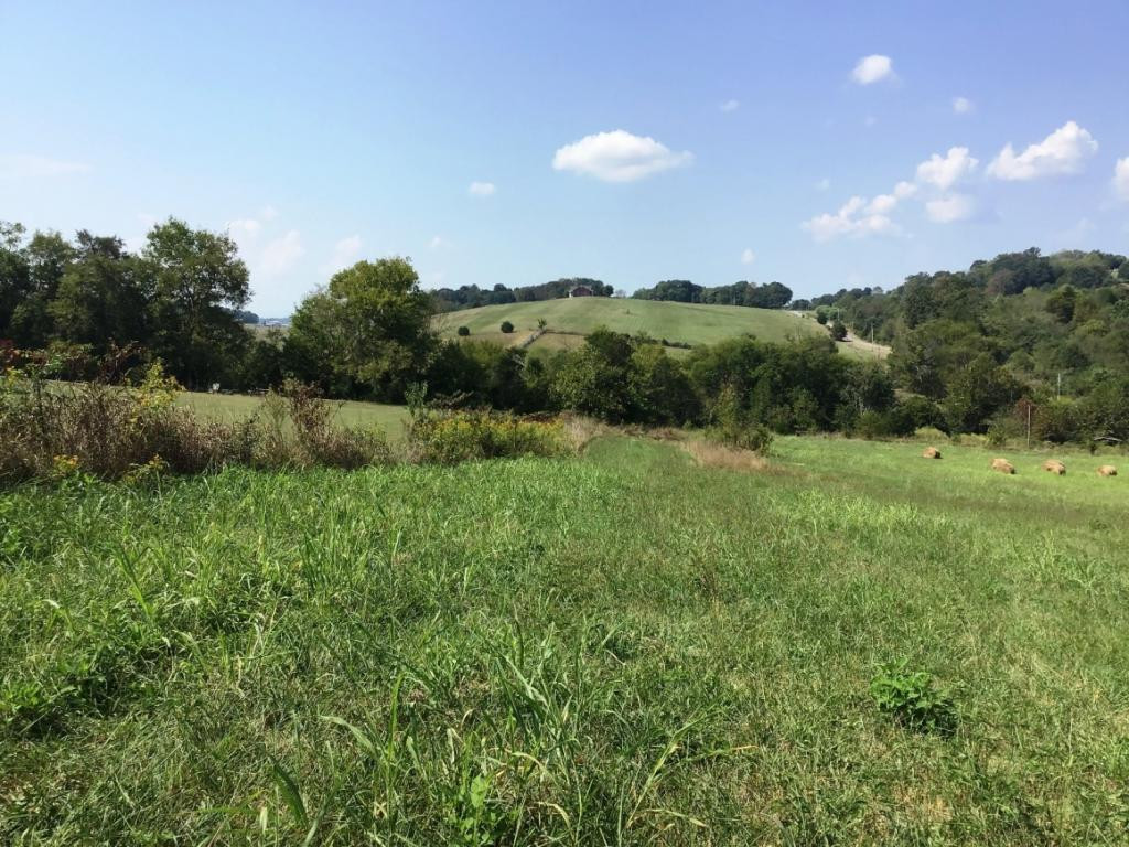 Lot 10 Gregg Mill Road, Unit 10 Greeneville, TN 37743 - Photo 3 of 5 Photo 3