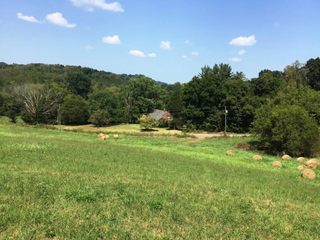Lot 10 Gregg Mill Road, Unit 10 Greeneville, TN 37743 - Photo 4 of 5 Photo 4