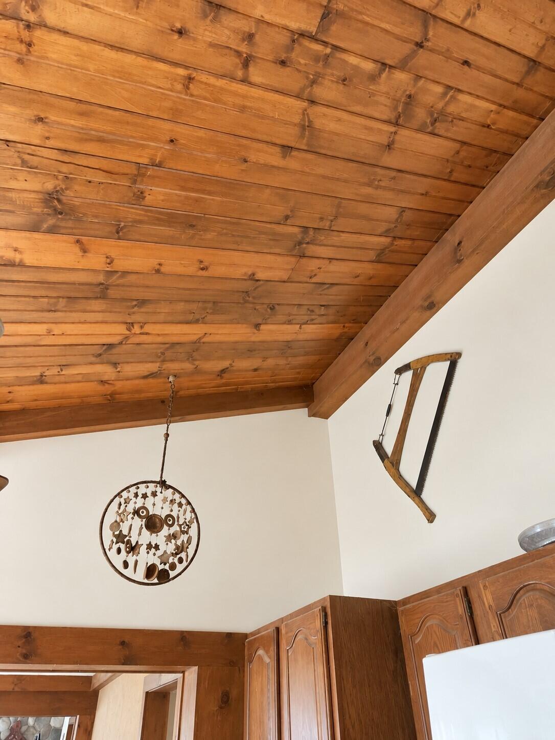 502 County Line Road Cement City, MI 49233 - Photo 9 of 27 Wood vaulted ceiling