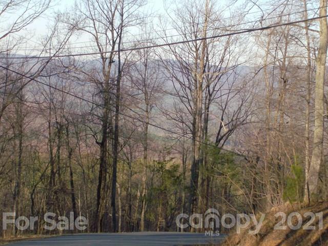 0 Fire Tower Road Bostic, NC 28018 - Photo 2 of 7 Gallery Image 2