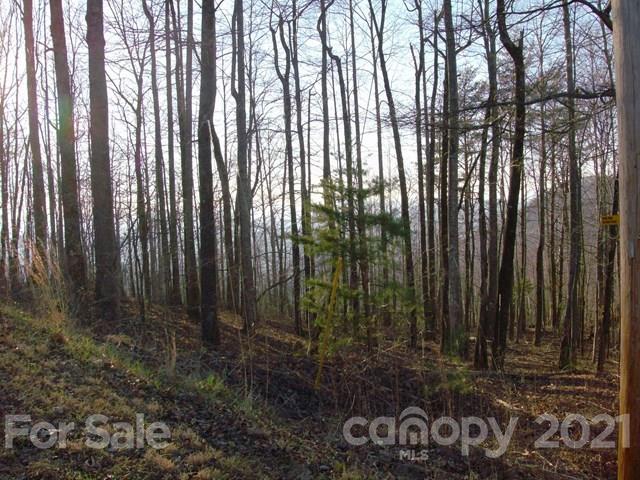 0 Fire Tower Road Bostic, NC 28018 - Photo 3 of 7 Gallery Image 3