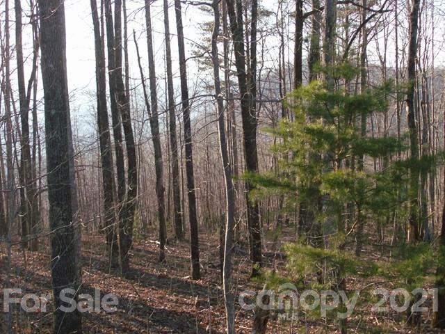 0 Fire Tower Road Bostic, NC 28018 - Photo 4 of 7 Gallery Image 4
