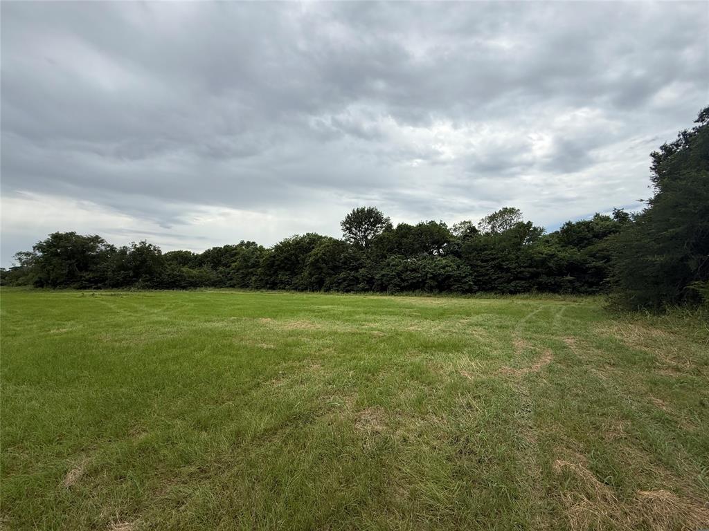 313 Co Road Terrell, TX 75161 - Photo 7 of 7
