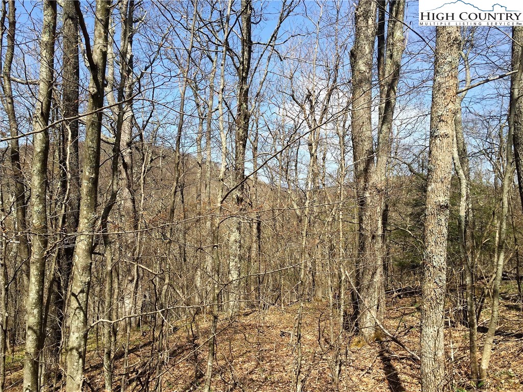 Tbd Lot 1 Tbd Road Boone, NC 28607 - Photo 4 of 14