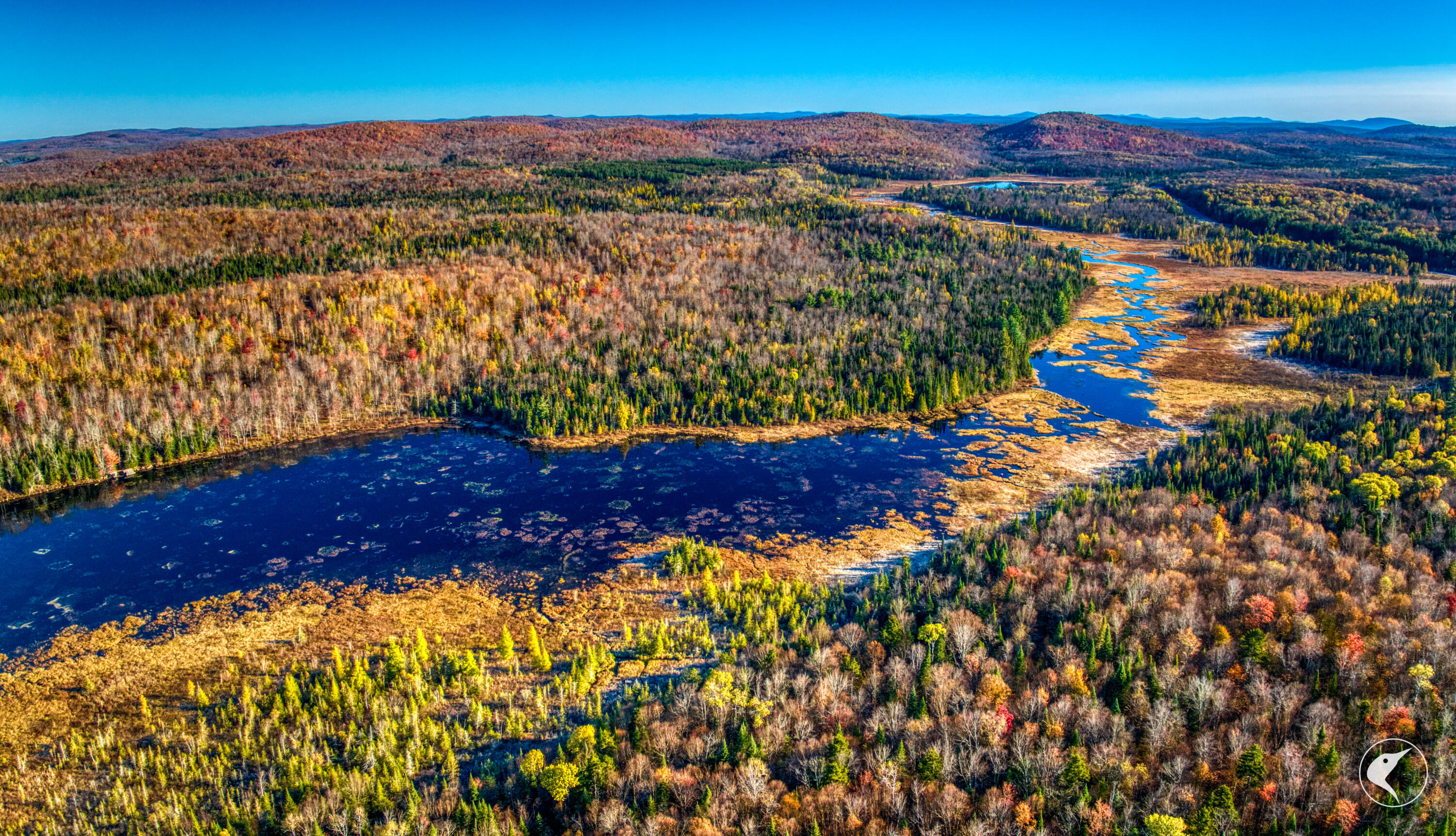 4891 State Rte 3 Newton Falls, NY 13666 - Photo 5 of 41 DJI_20241018092152_0056_D