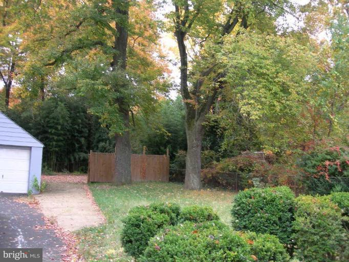 4029 Roberts Road Fairfax, VA 22032 - Photo 10 of 12 Back yard