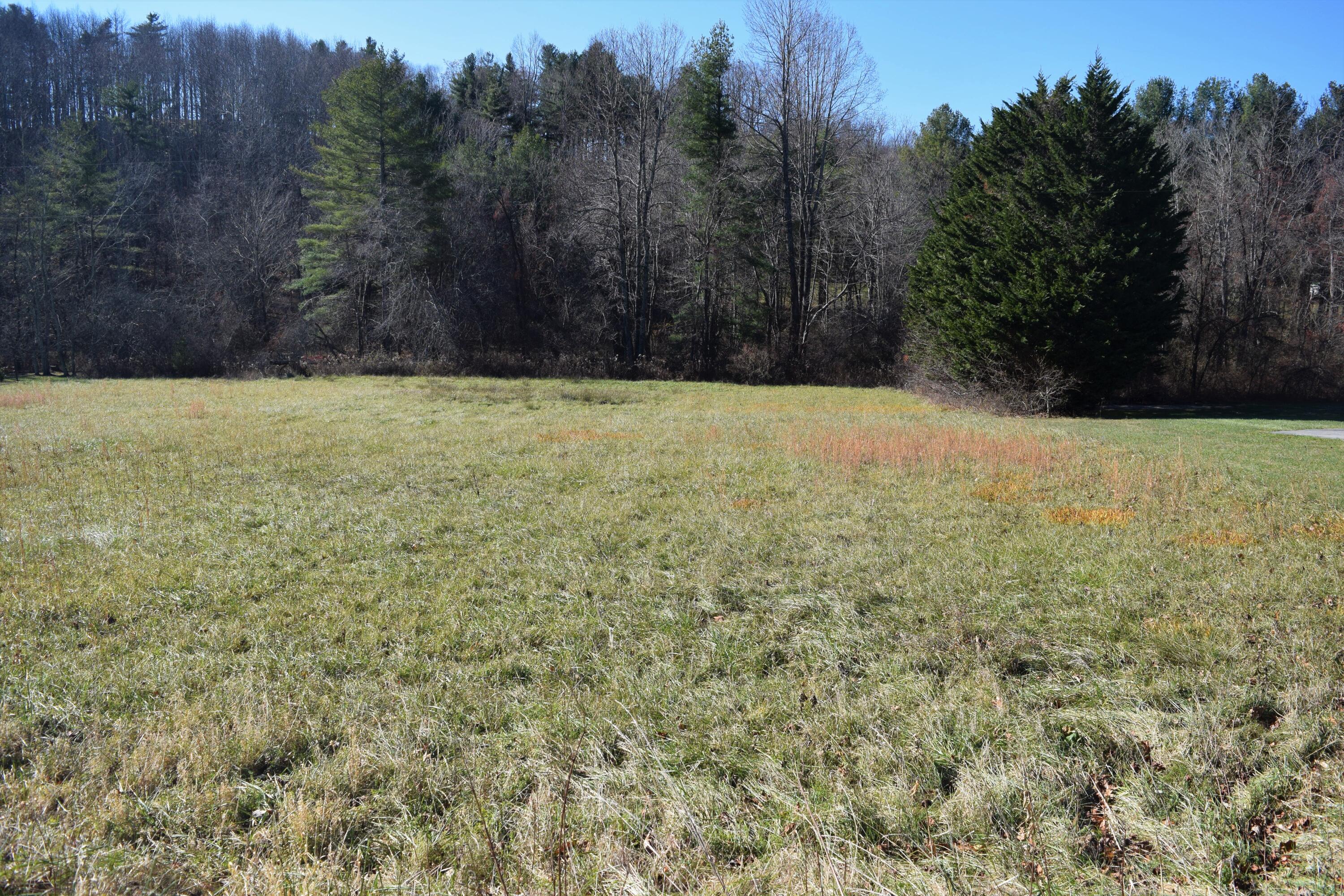 7547 Conner Road Northeast Copper Hill, VA 24079 - Photo 22 of 27 a view of backyard and tree