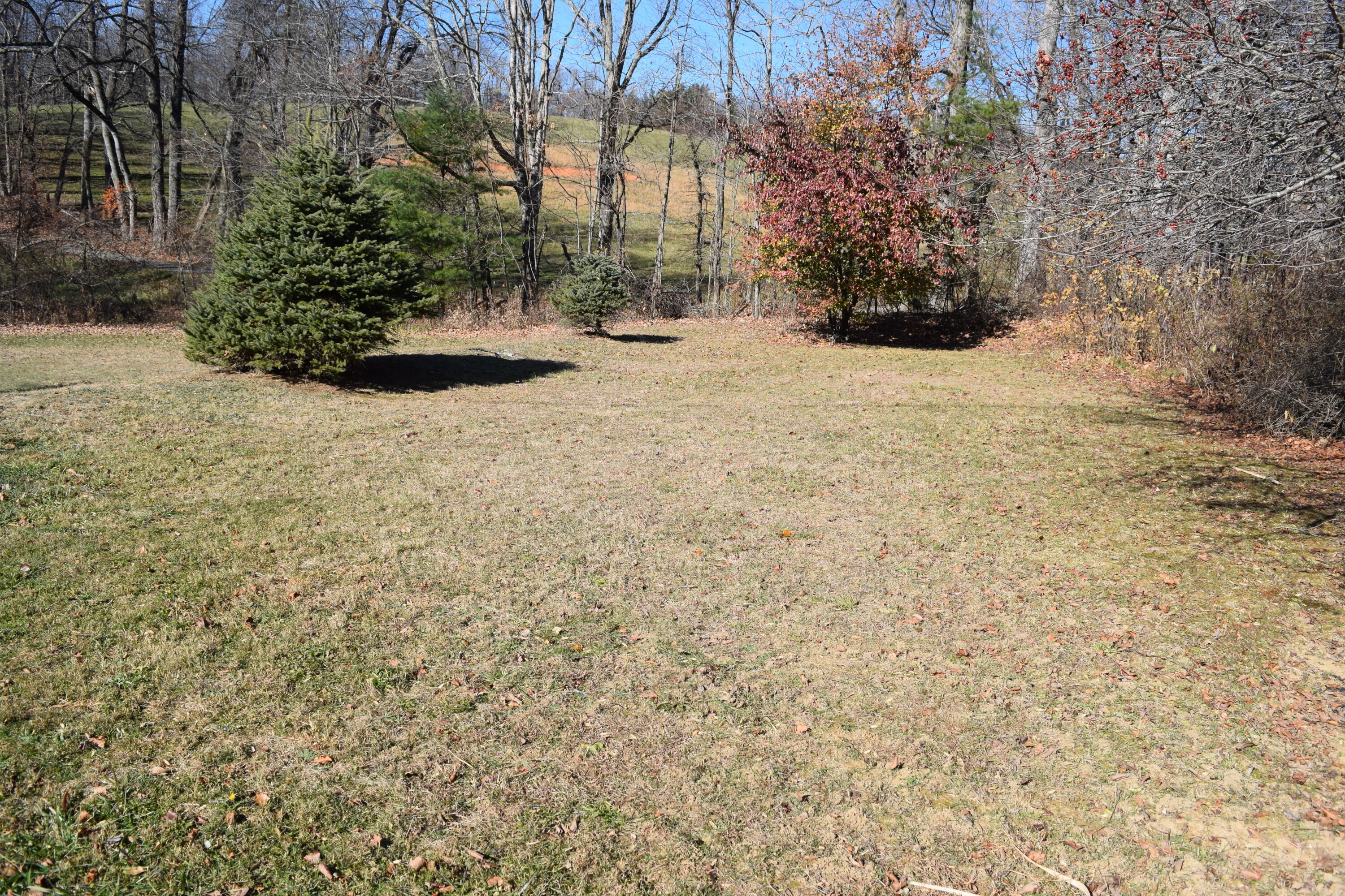7547 Conner Road Northeast Copper Hill, VA 24079 - Photo 23 of 27 a view of an outdoor space and a yard
