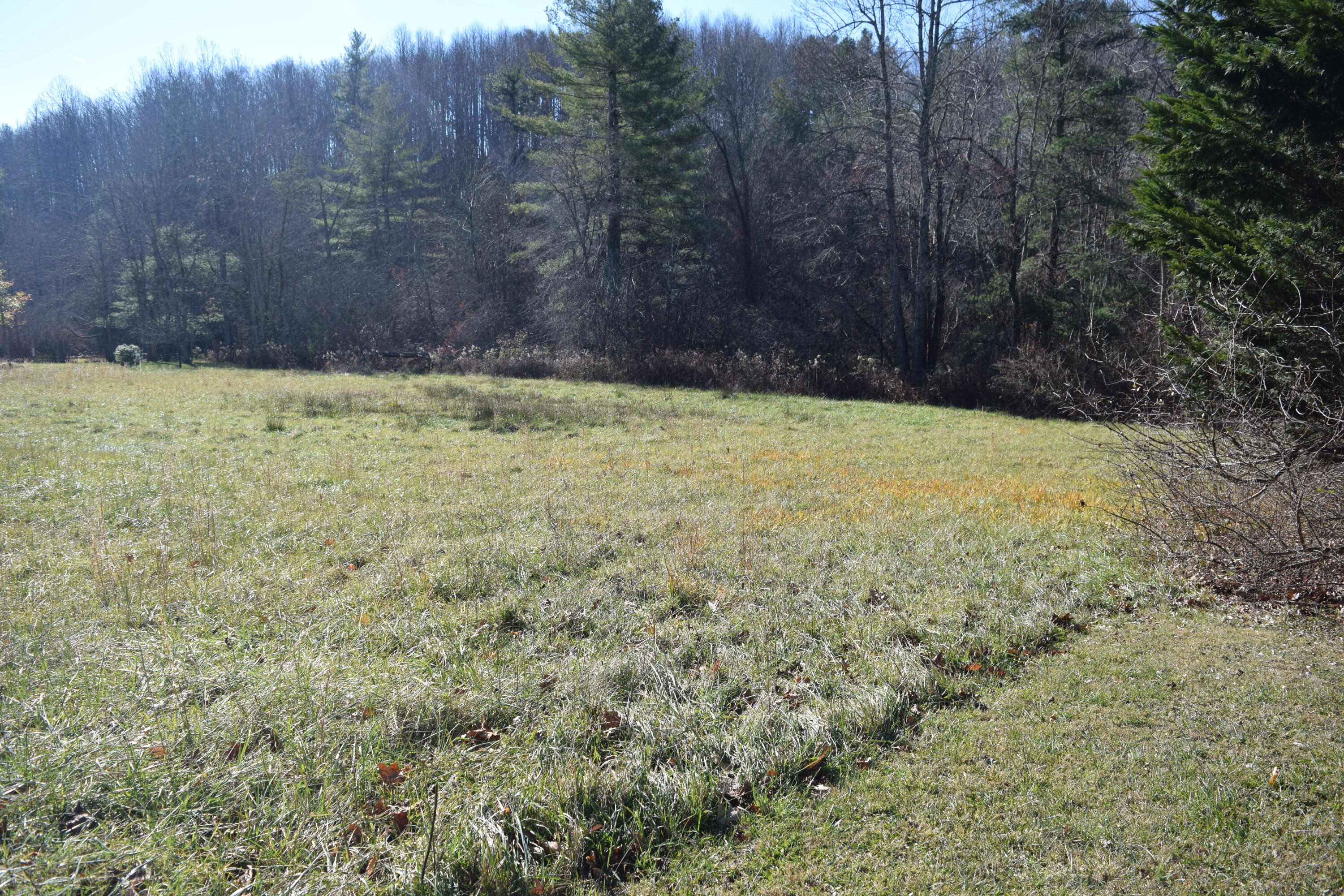 7547 Conner Road Northeast Copper Hill, VA 24079 - Photo 25 of 27 a view of a yard